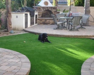 The most dog friendly lawn available