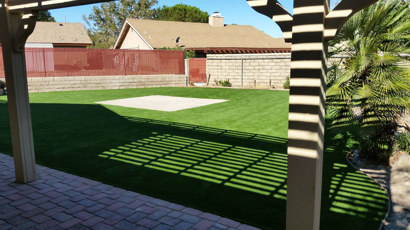 This synthetic lawn will never need to be mowed